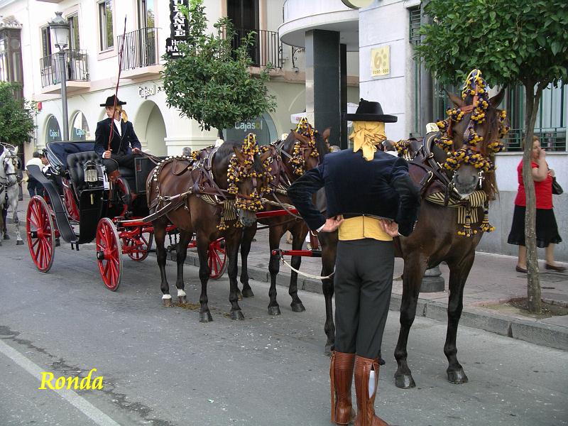 Andalusie 2008 174.jpg